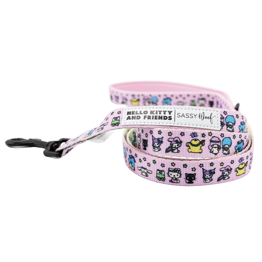 Dog Leash - Hello Kitty® & Friends Flower Festival | Sassy Woof