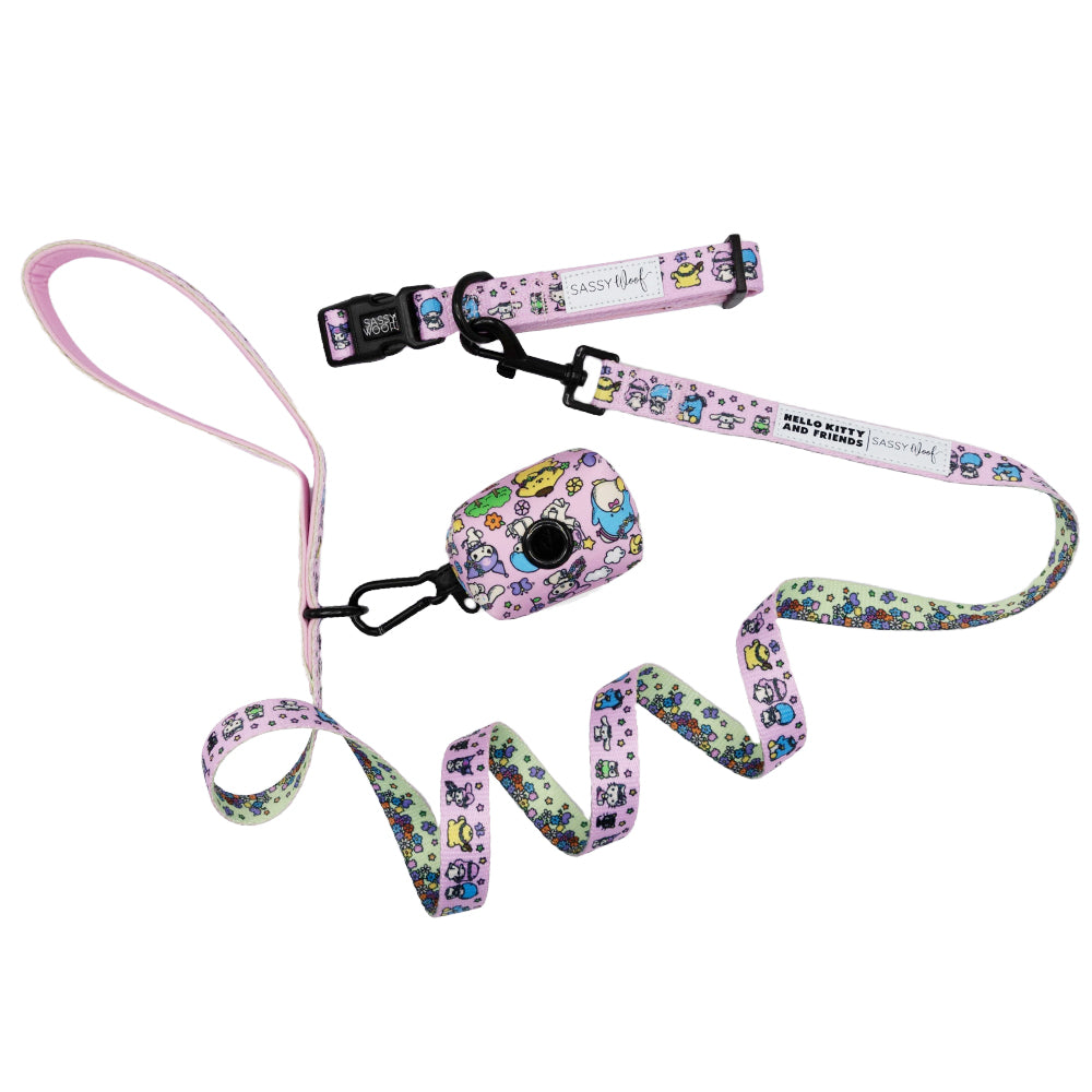 Collar Three Piece Bundle - Hello Kitty® & Friends Flower Festival