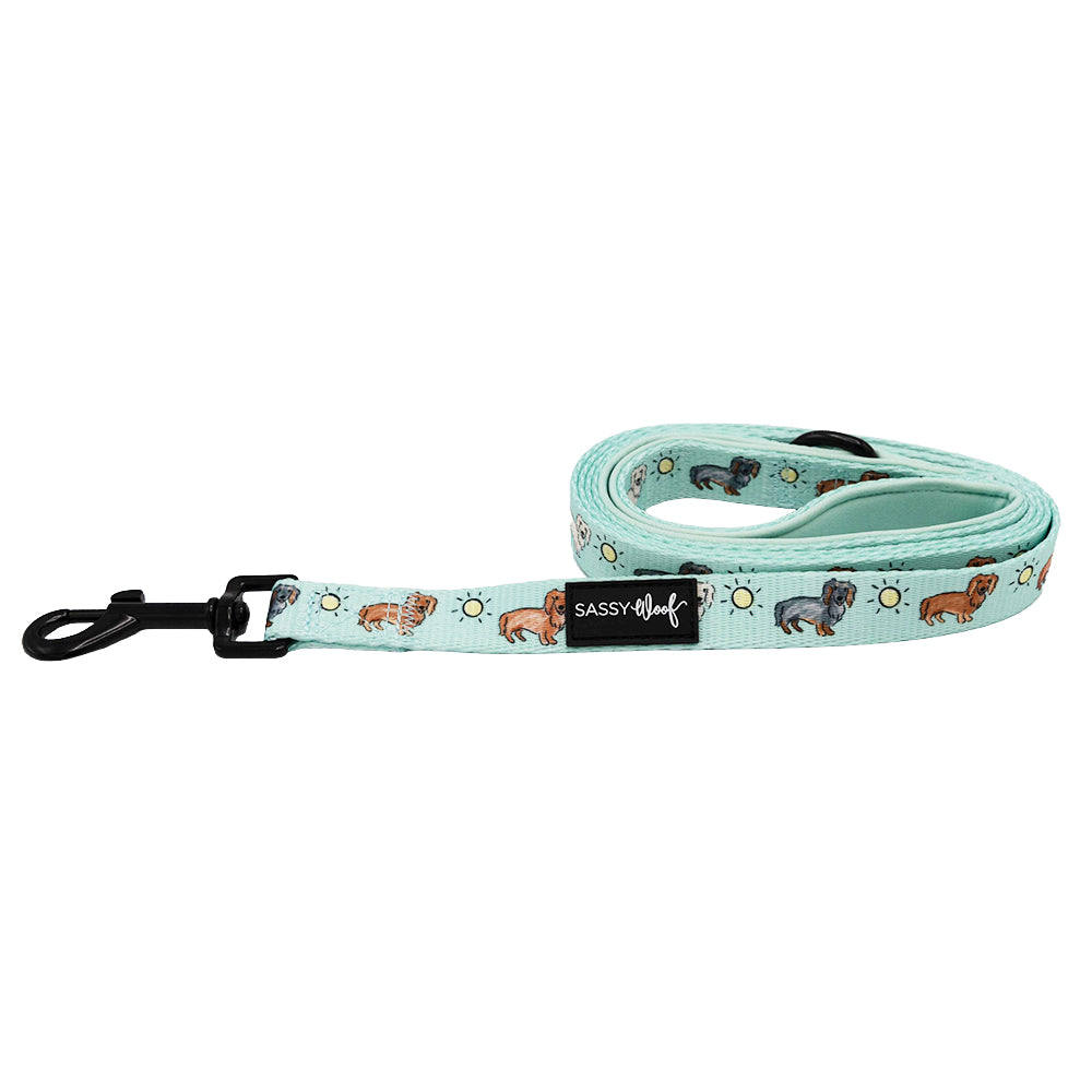 Dog Leash - Hot Dog Days