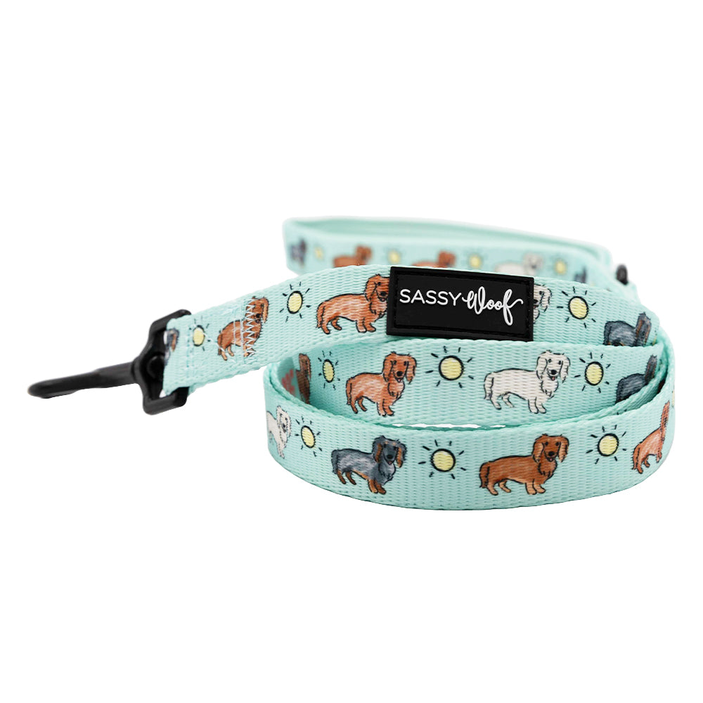Dog Leash - Hot Dog Days