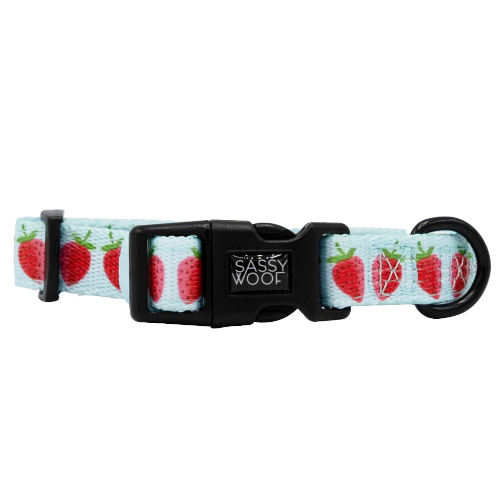 Dog Collar - I Woof You Berry Much