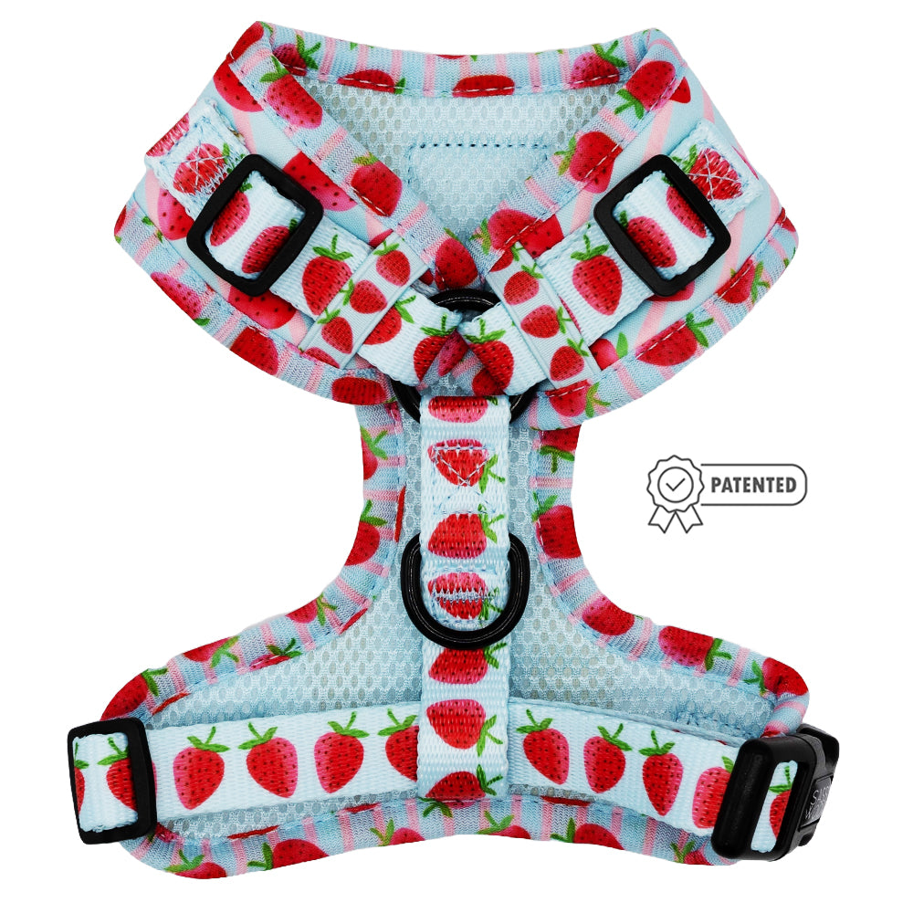 Dog Adjustable Harness - I Woof You Berry Much