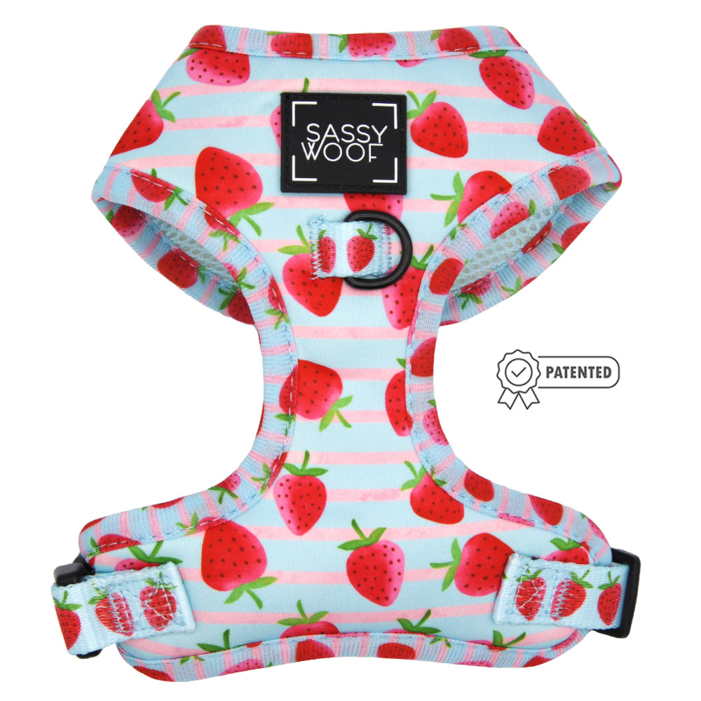 Dog Two Piece Bundle - I Woof You Berry Much