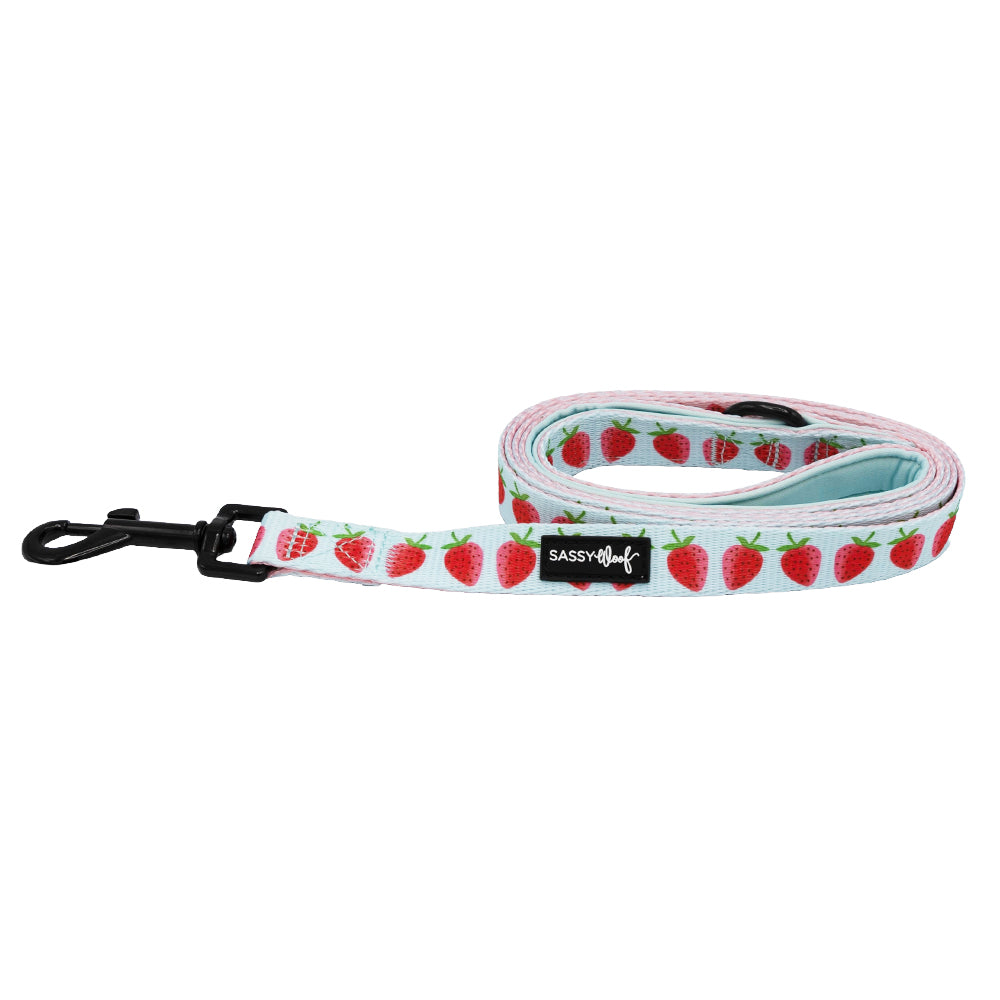 Dog Leash  - I Woof You Berry Much