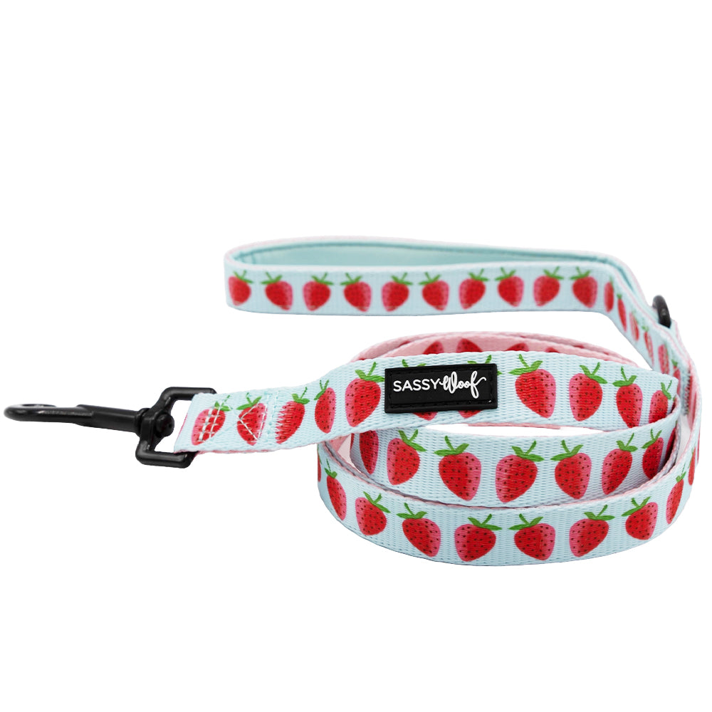 Dog Leash  - I Woof You Berry Much