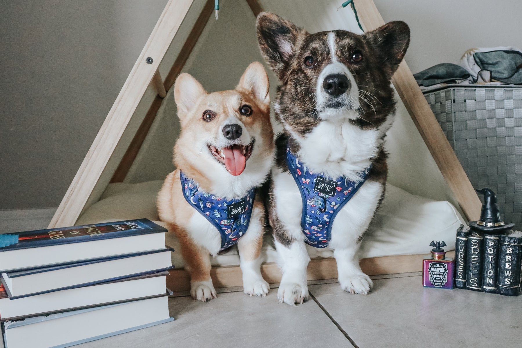 INFLUENCER_CONTENT | @THEGRYFFINCORGS | SIZE S,M