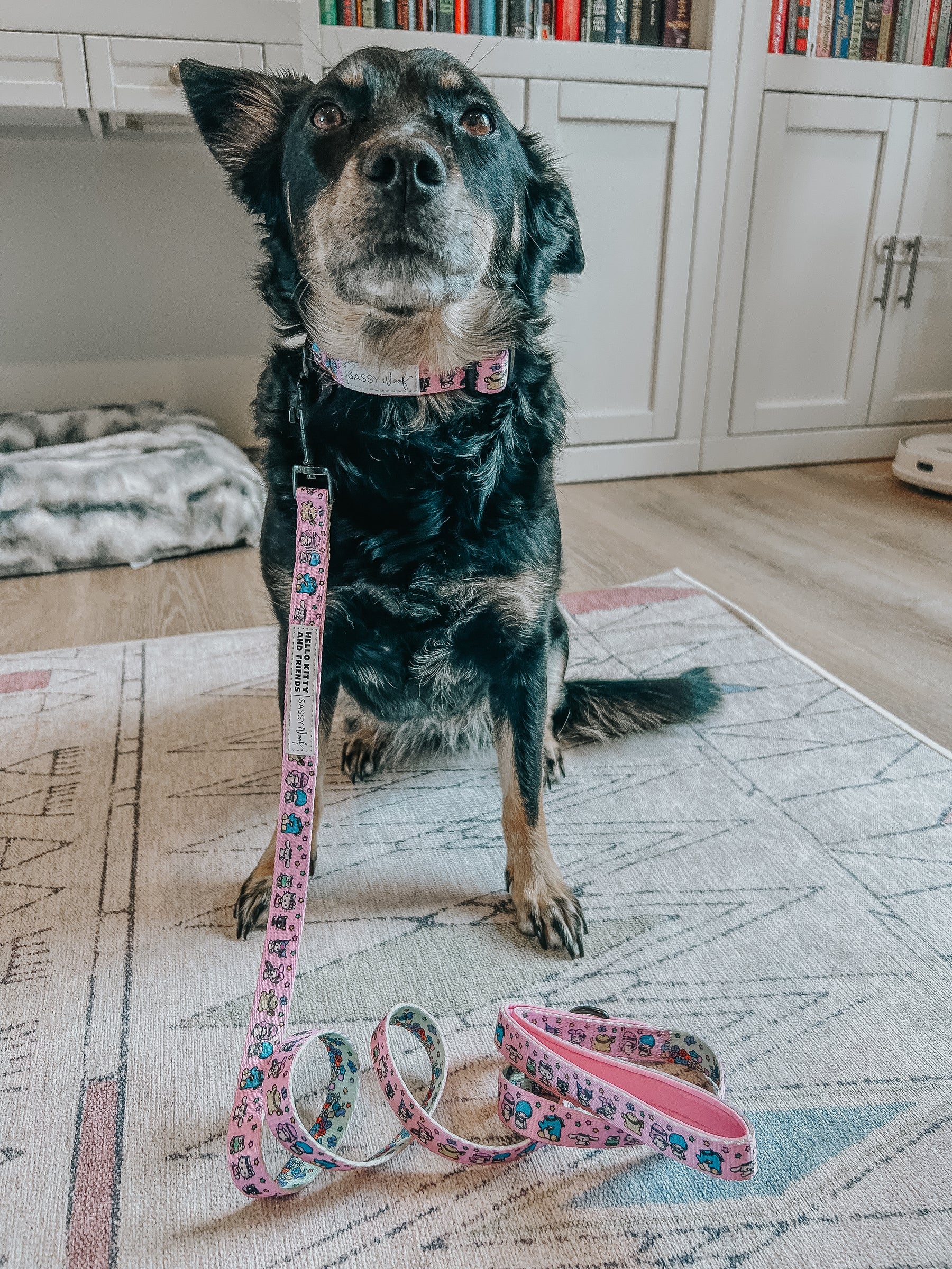 INFLUENCER_CONTENT | @CHAITOTHERESCUE