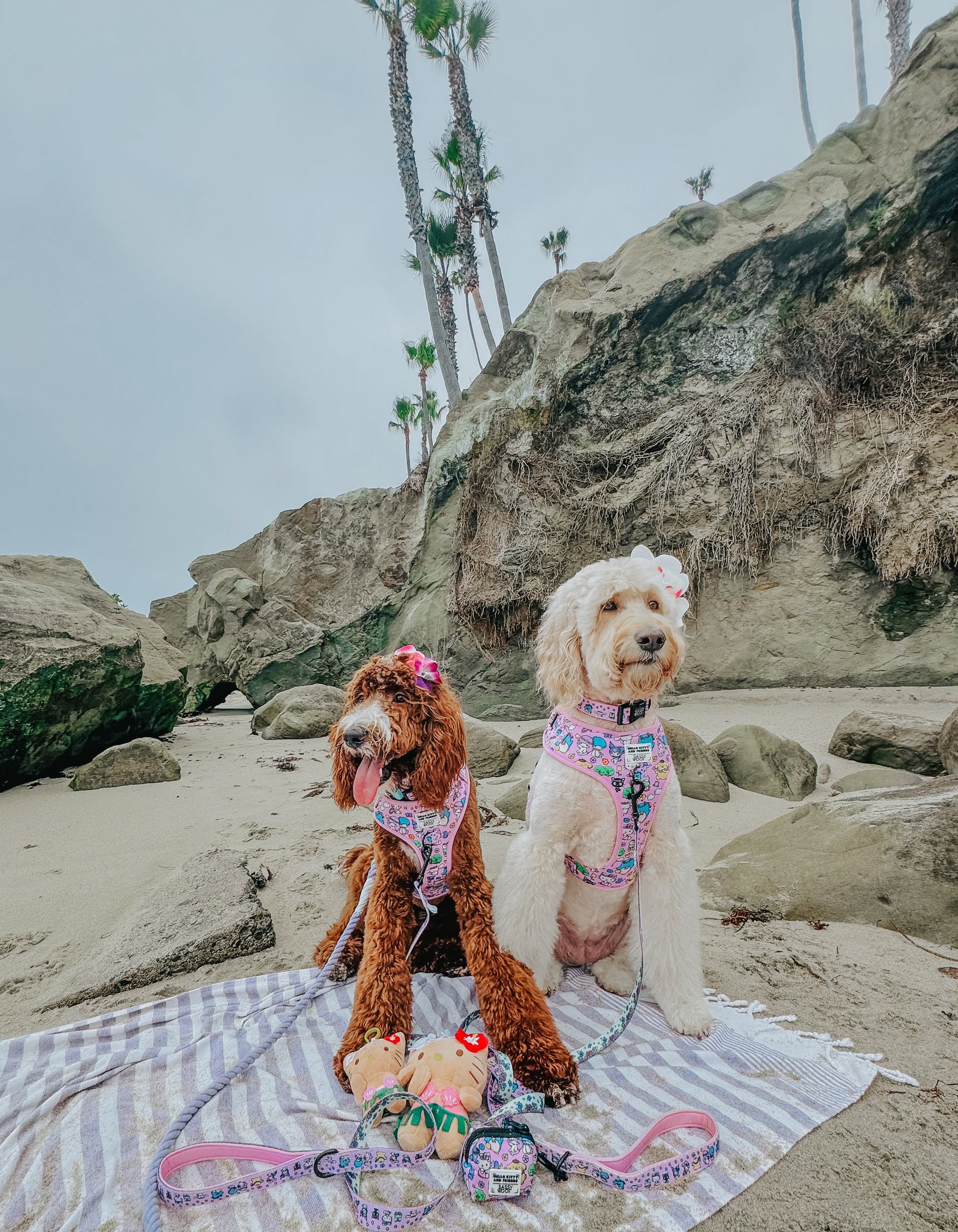 INFLUENCER_CONTENT | @LUCYLU_PAWSITIVEPUP | SIZE M,L & L,XL