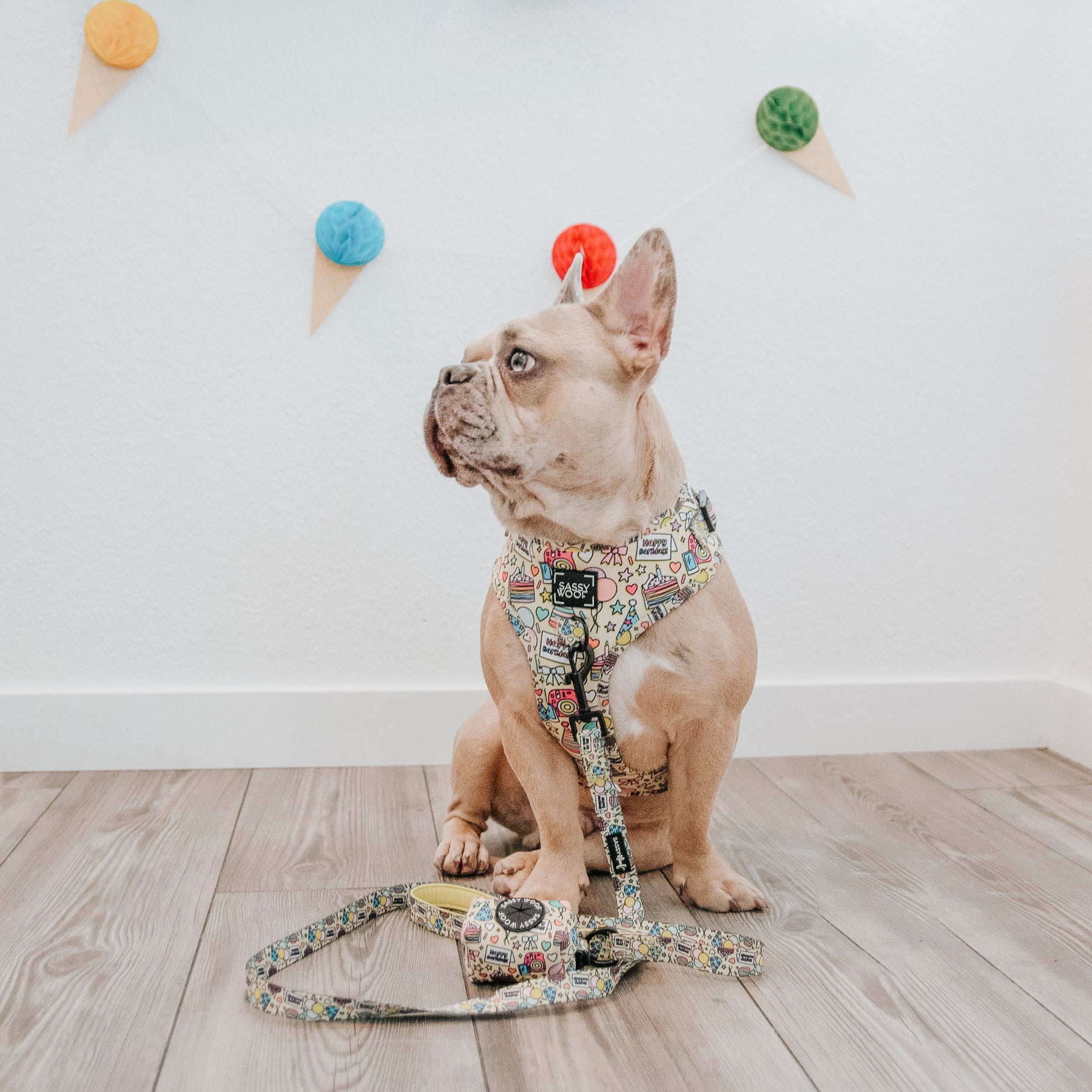 INFLUENCER_CONTENT | @INDIE.PITTIE | SIZE L & L