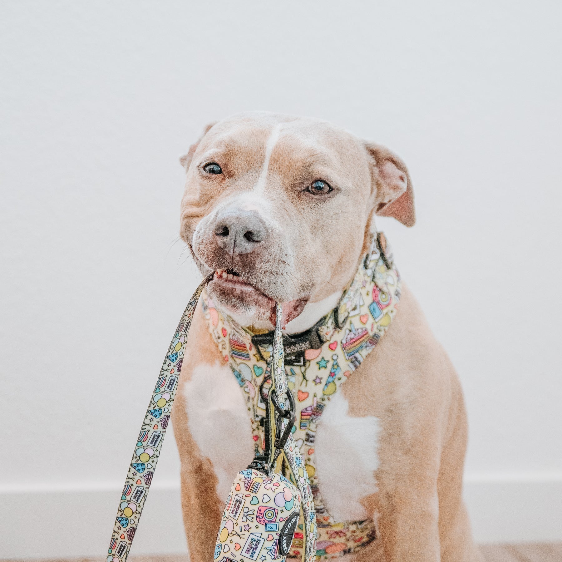 INFLUENCER_CONTENT | @INDIE.PITTIE