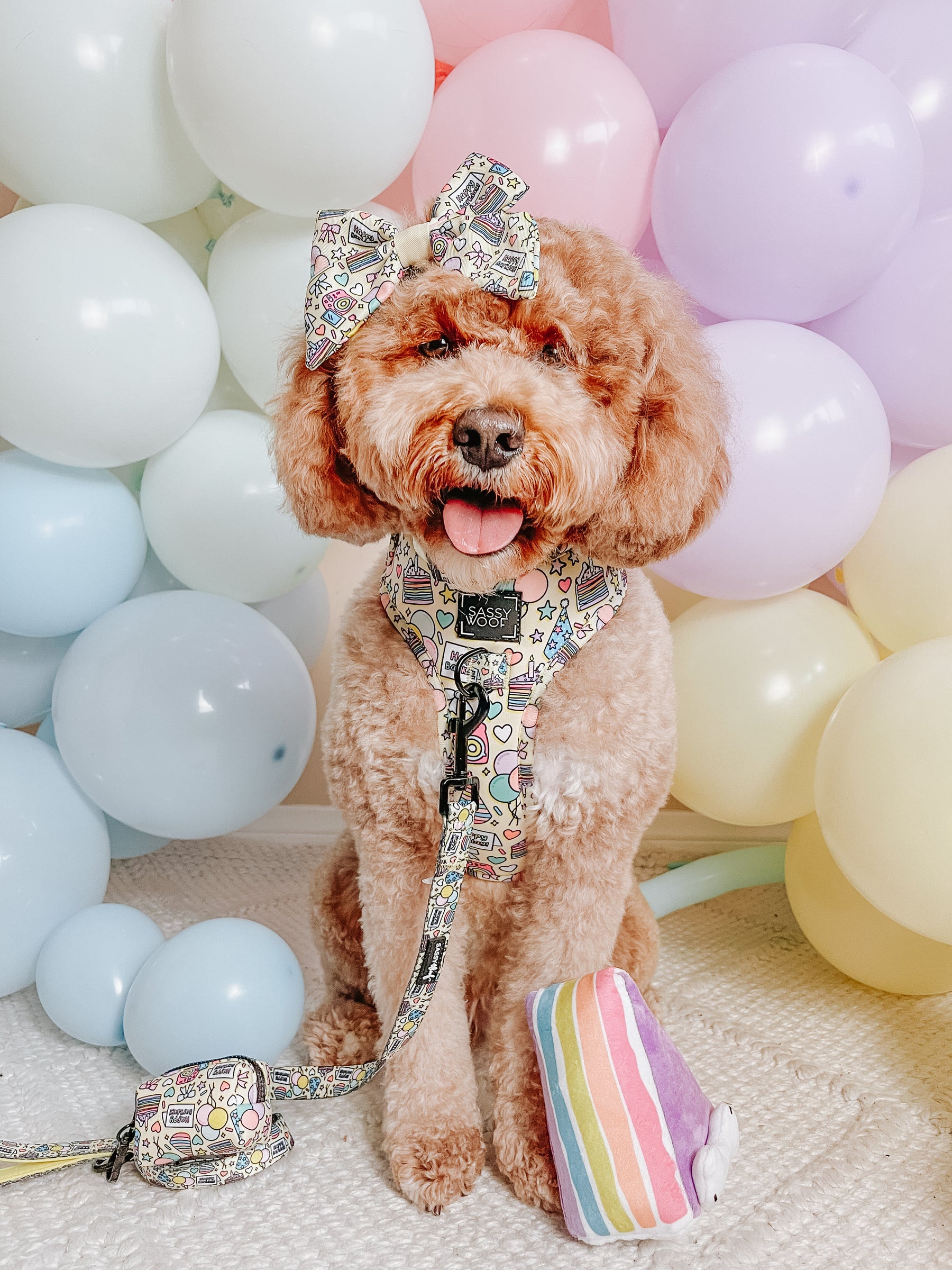 INFLUENCER_CONTENT | @ITSMEWILLOW | SIZE M & M