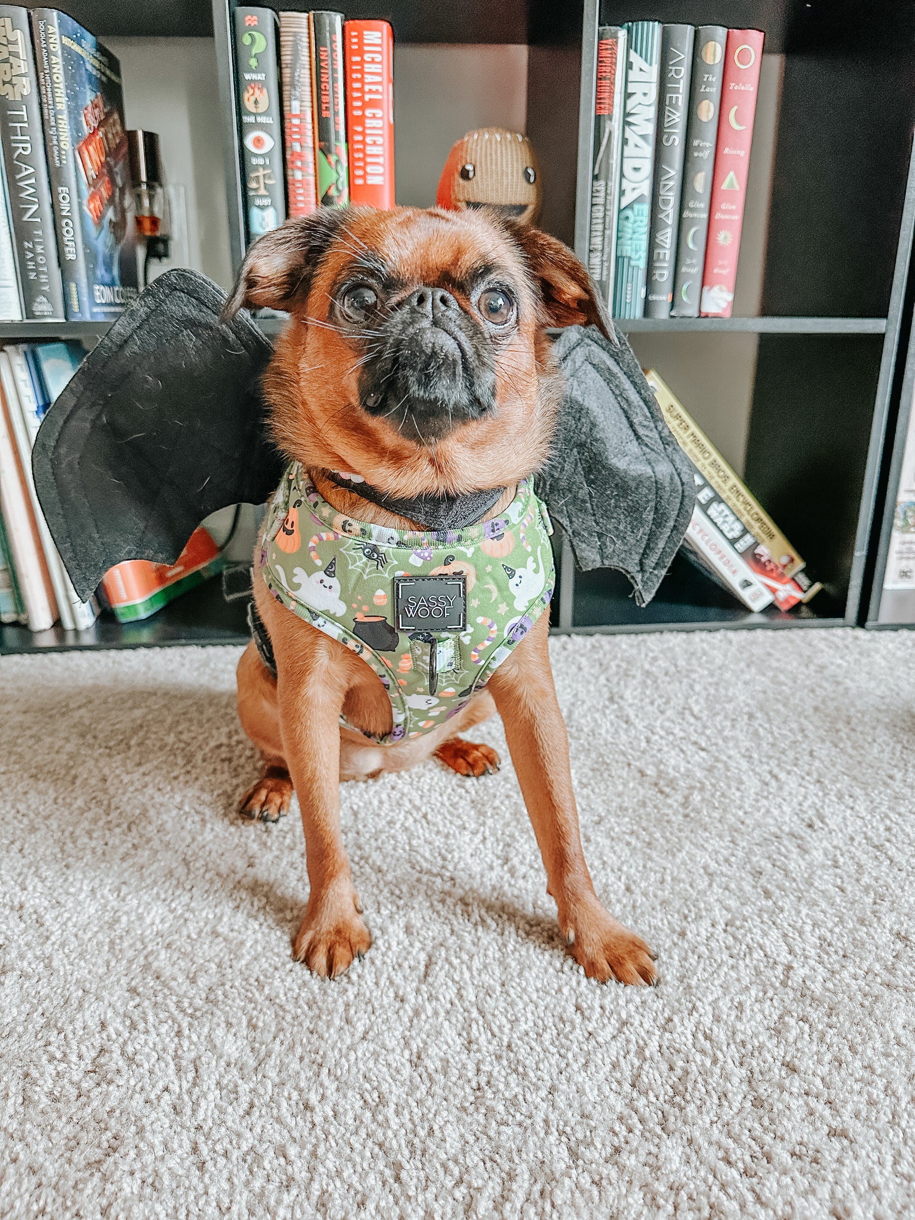 INFLUENCER_CONTENT | @ITSTULIPTHEGRIFF | SIZE S