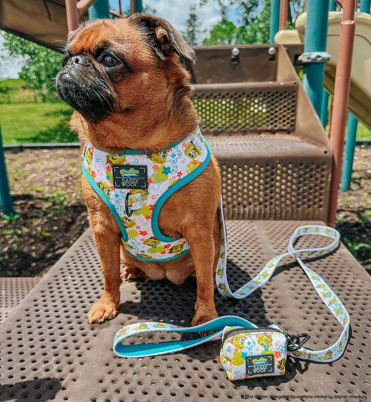 INFLUENCER_CONTENT | @ITSTULIPTHEGRIFF