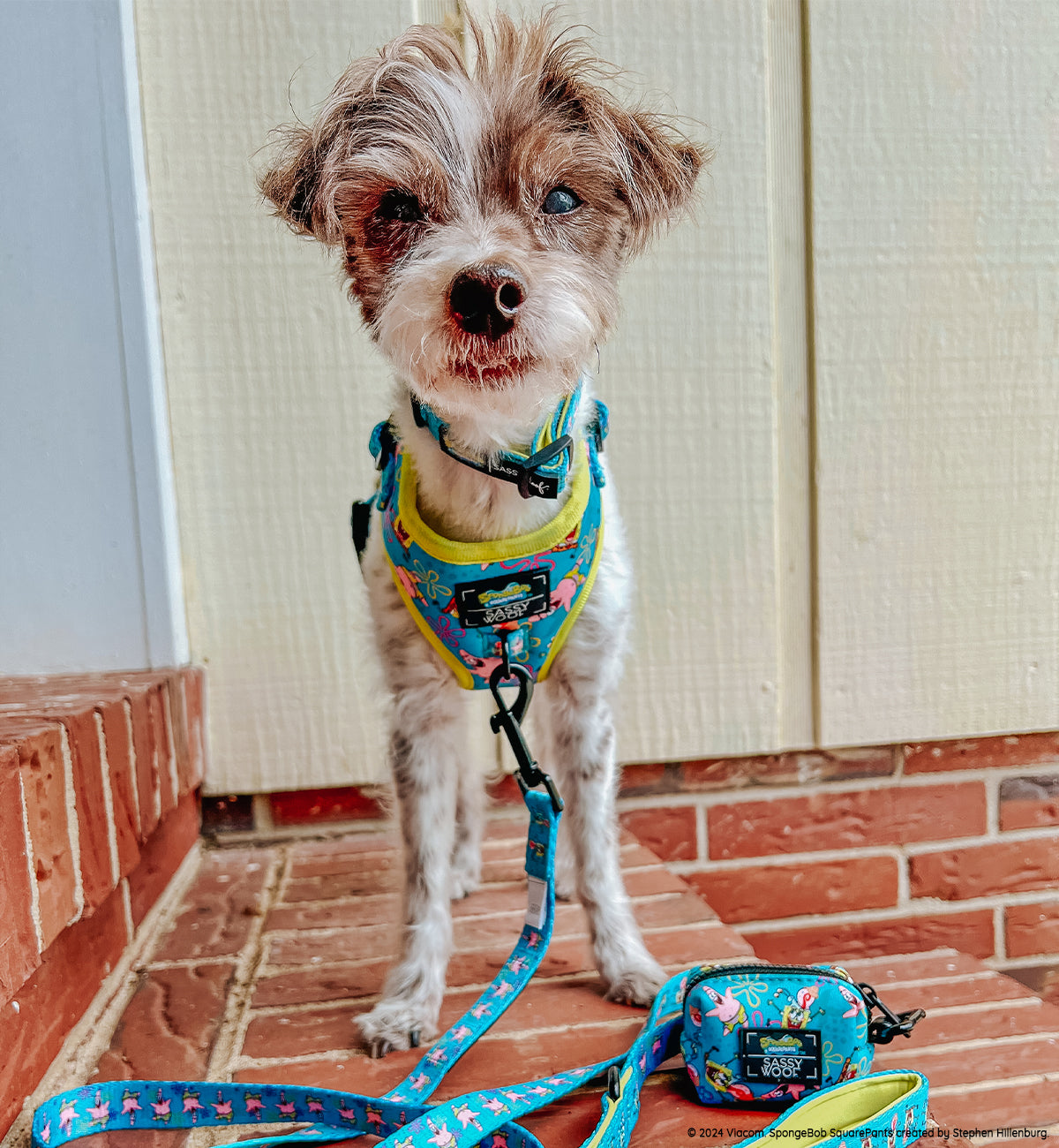 INFLUENCER_CONTENT | @I_AM_THEBARKMAN