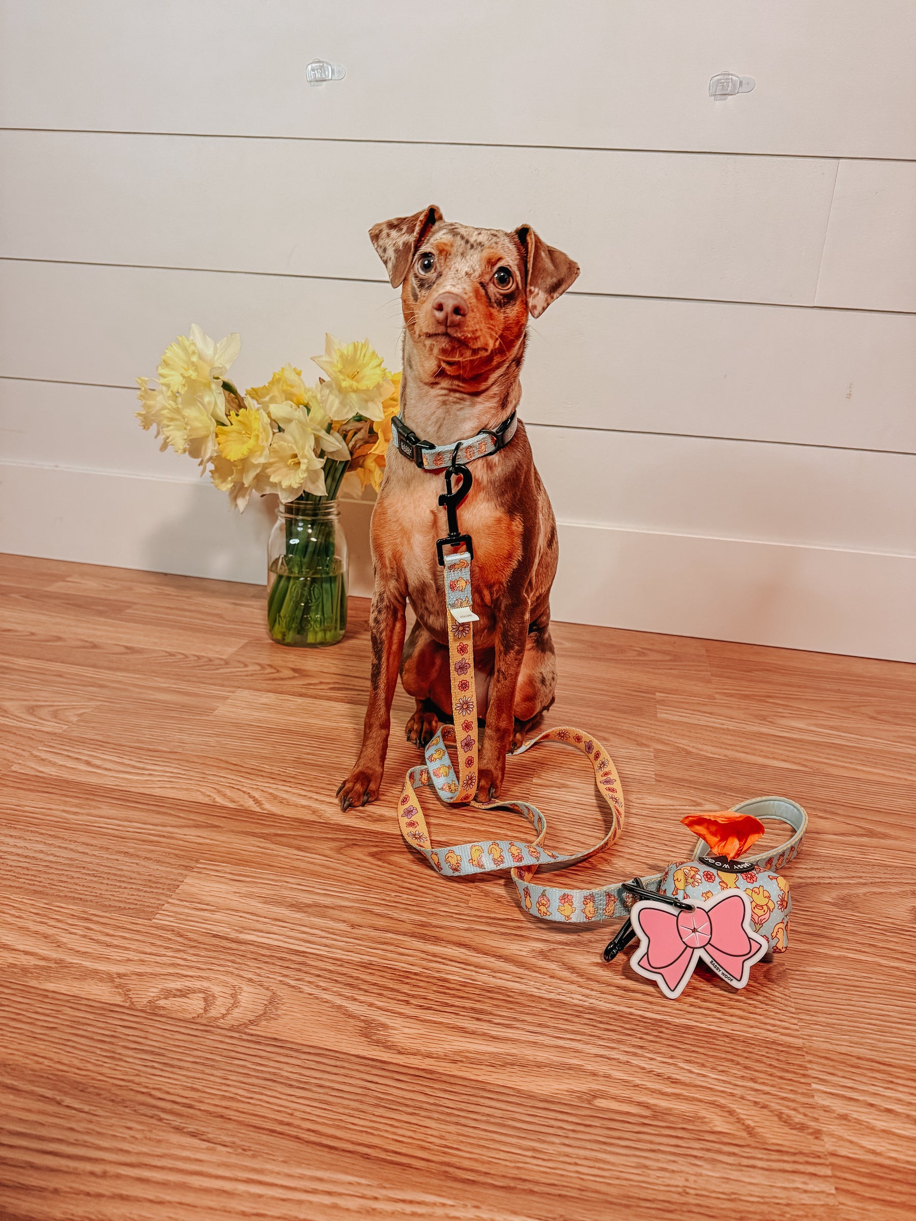 INFLUENCER_CONTENT | @JADE_THE_MINPIN