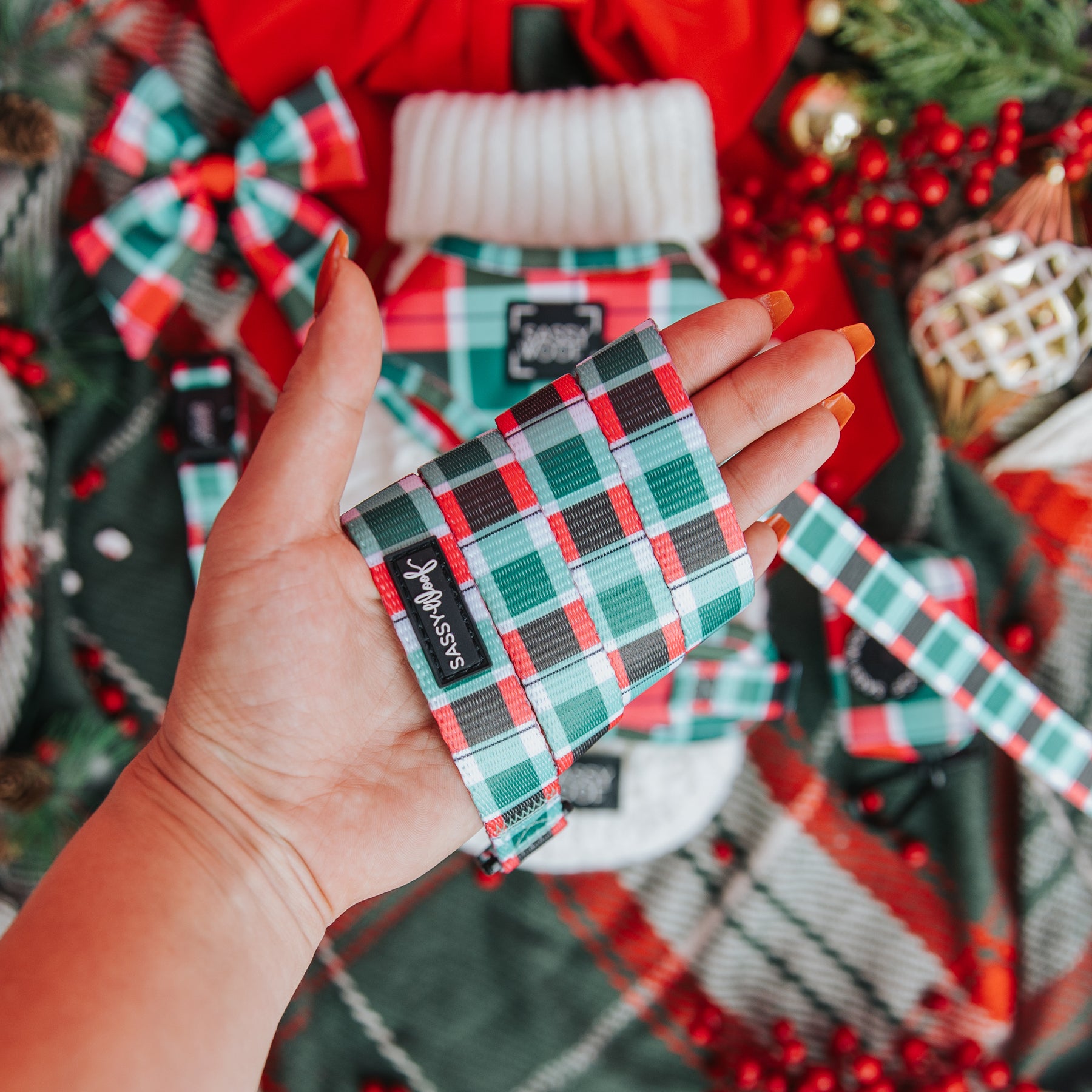 Dog Two Piece Bundle - Jingle Barks