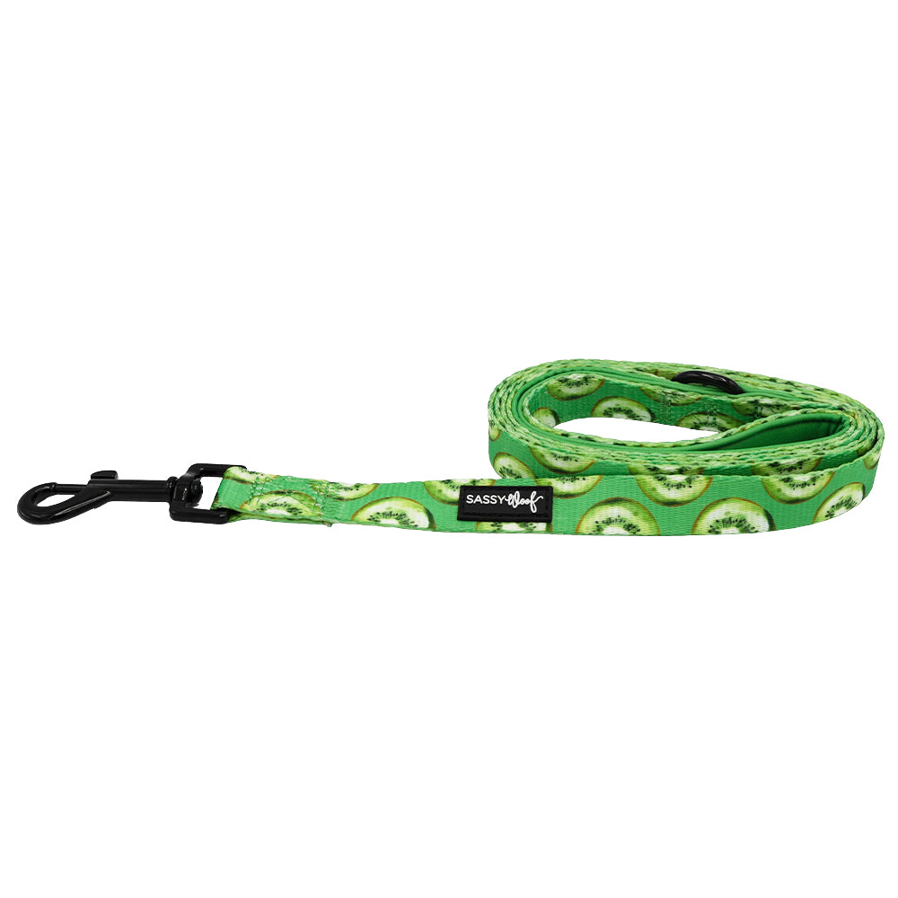 Dog Leash - Kiwi Krazy