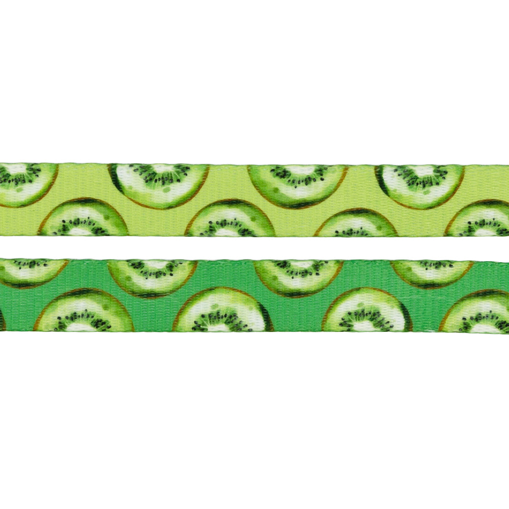 Dog Leash - Kiwi Krazy