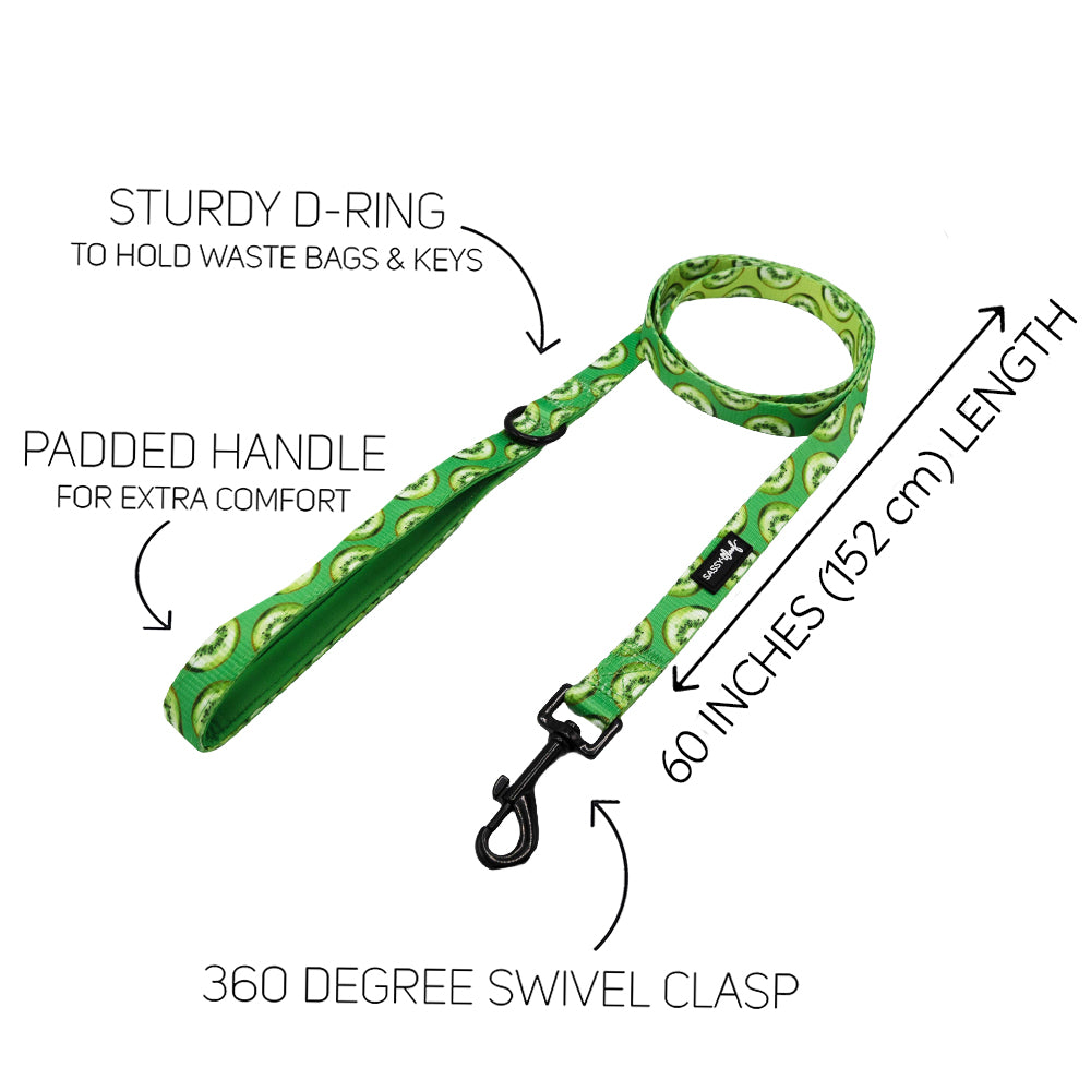 Dog Leash - Kiwi Krazy