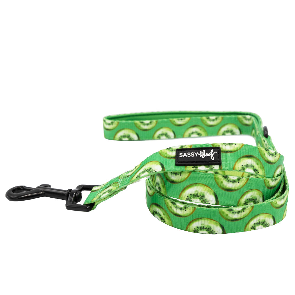Dog Leash - Kiwi Krazy