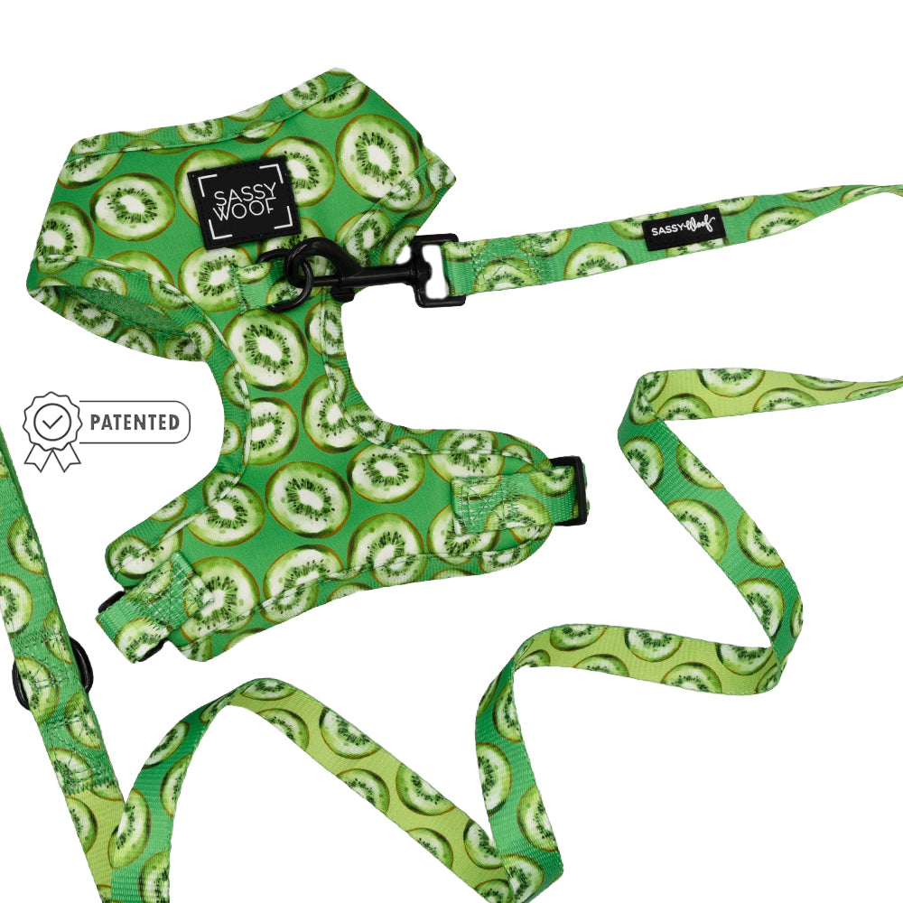 Dog Two Piece Bundle - Kiwi Krazy