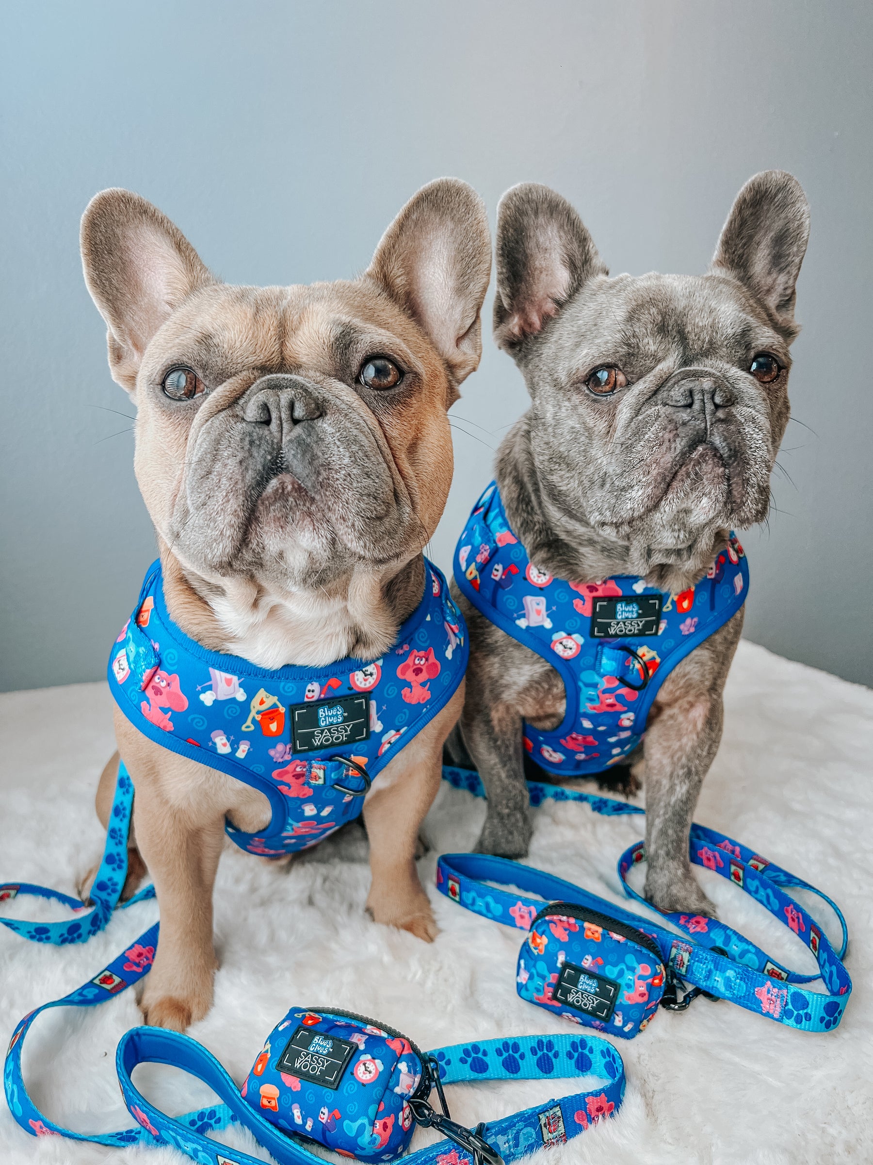 INFLUENCER_CONTENT | @LEOTHEFRENCHIE_1 | SIZE M & M