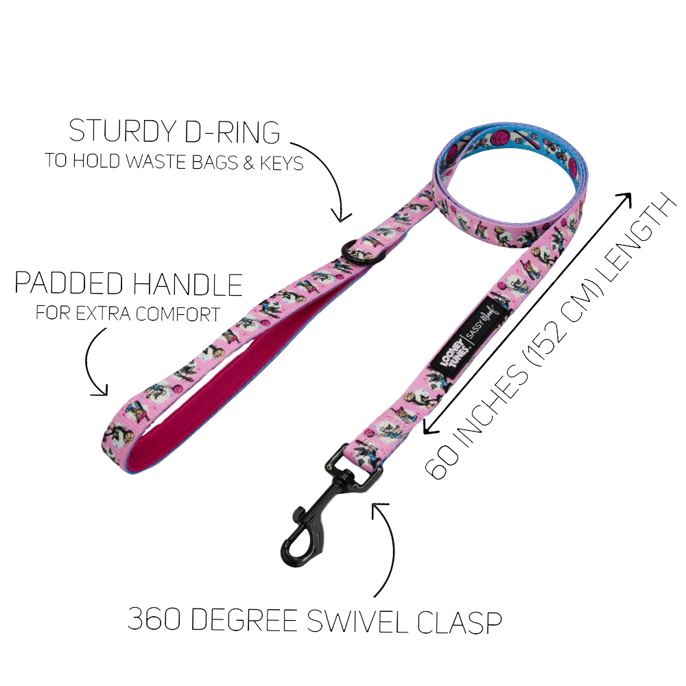Dog Two Piece Bundle - Looney Tunes™ Pink
