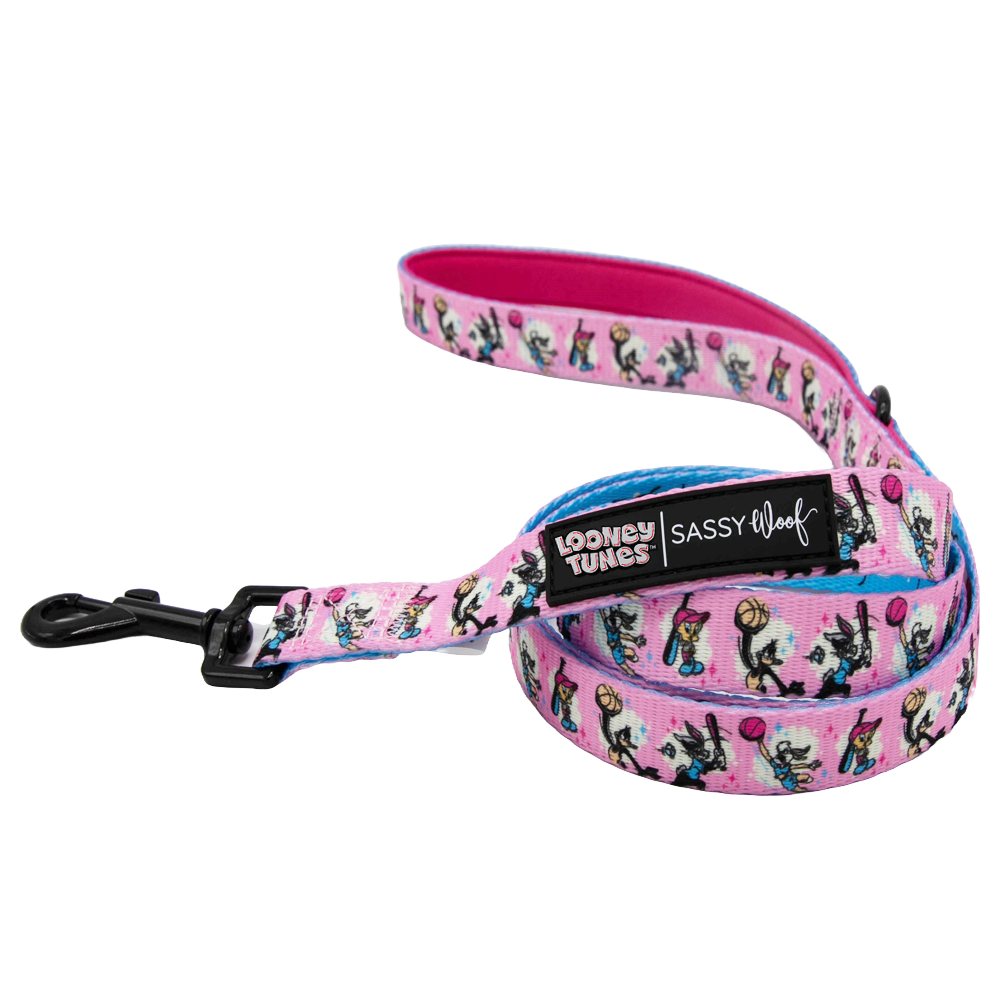 Dog Two Piece Bundle - Looney Tunes™ Pink
