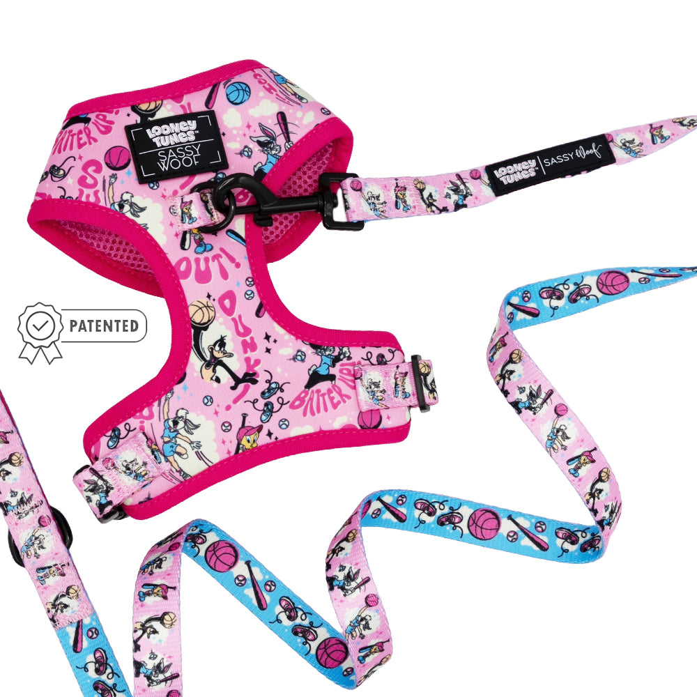 Dog Two Piece Bundle - Looney Tunes™ Pink