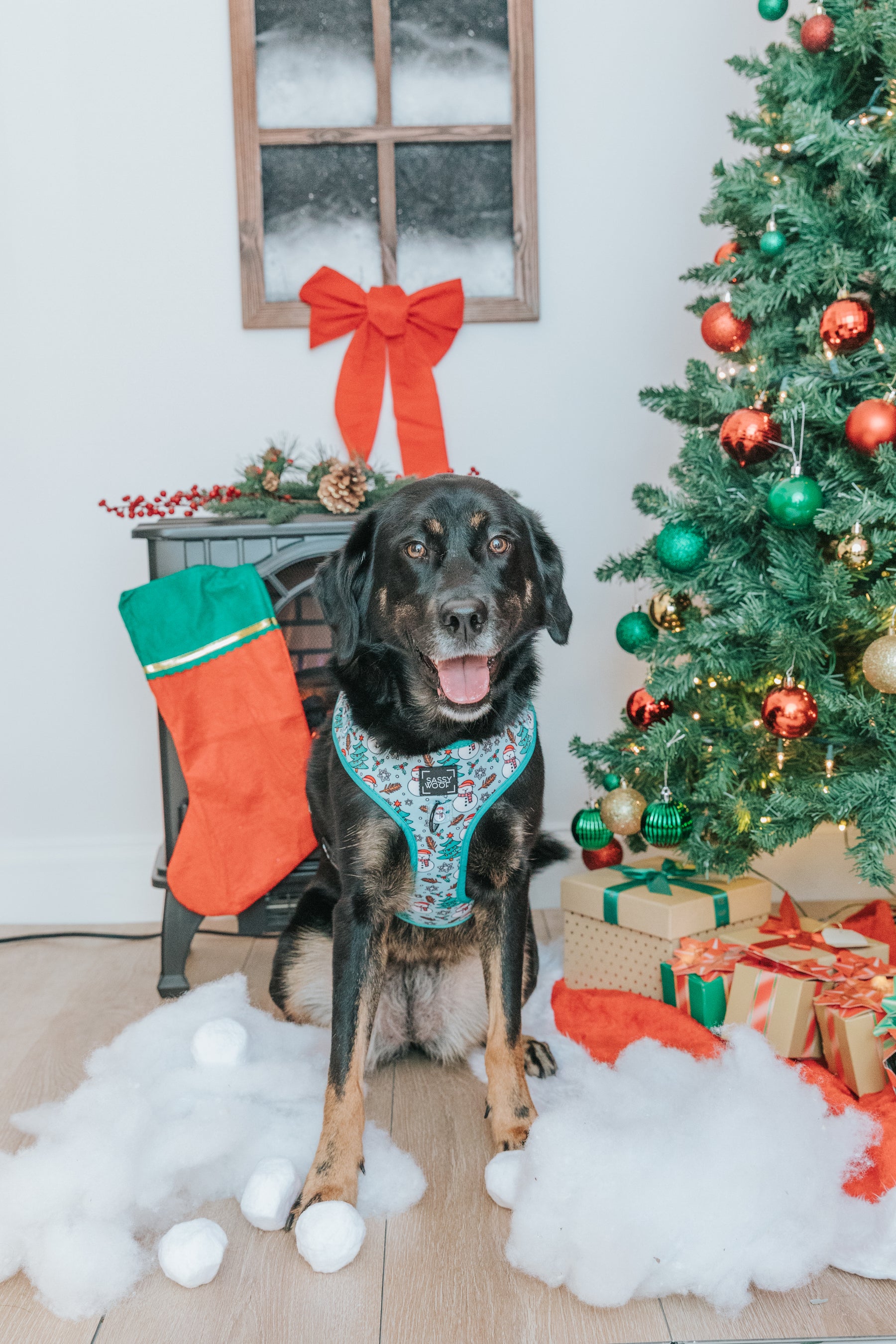INFLUENCER_CONTENT | @SUNNYTHEAUSSIEDOR | SIZE L