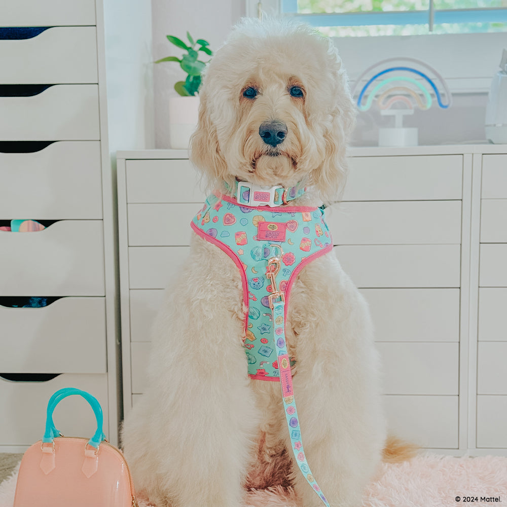INFLUENCER_CONTENT | @LUCYLU_PAWSITIVEPUP | SIZE XL