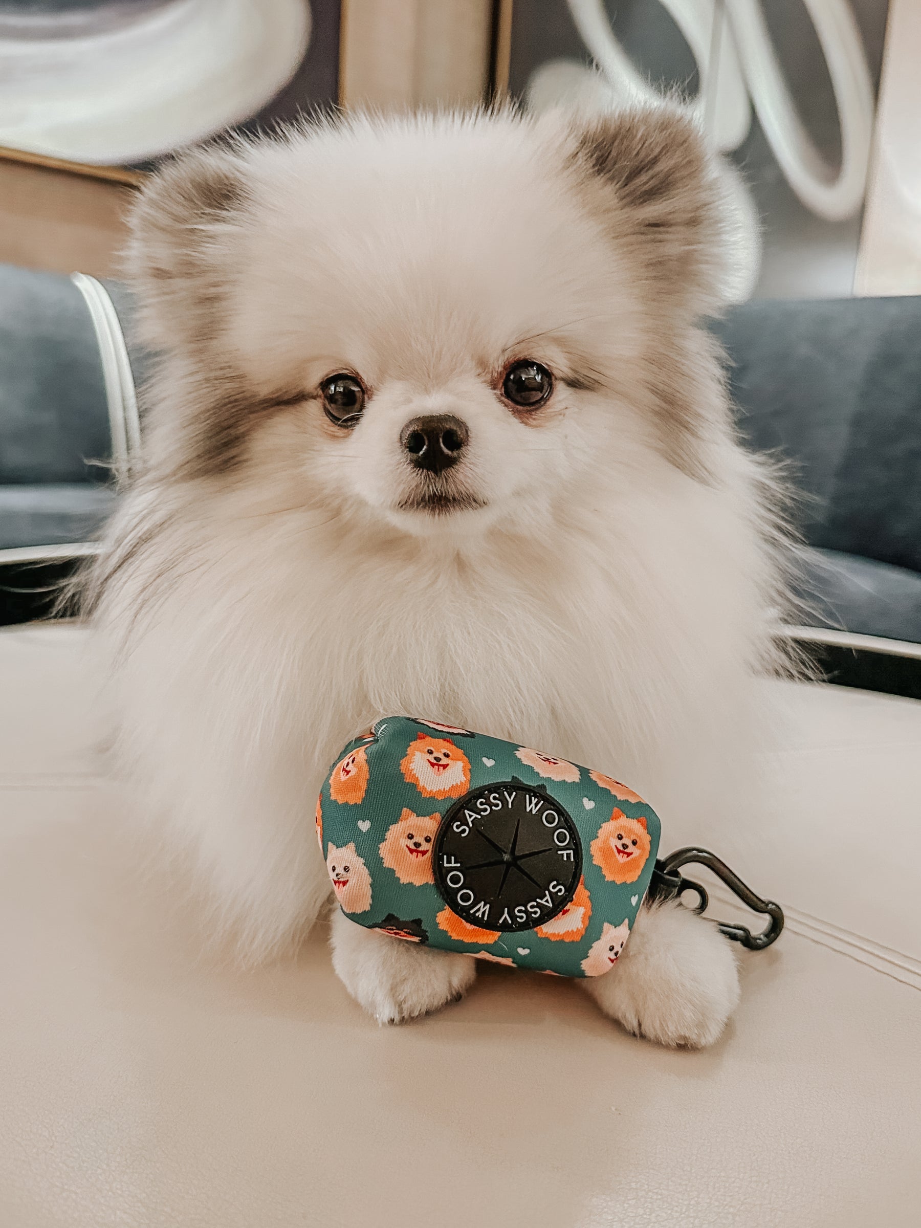 INFLUENCER_CONTENT | @LUNATHEPOMBABY