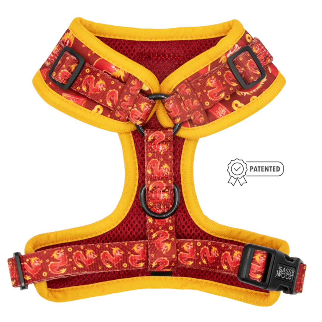 Dog Adjustable Harness - Lucky Dragon