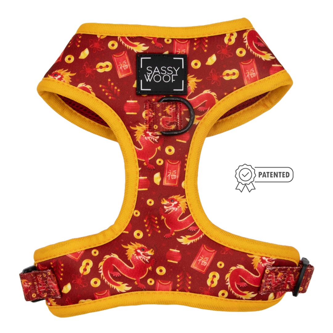 Dog Two Piece Bundle - Lucky Dragon