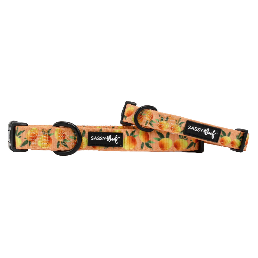 Collar Three Piece Bundle - Mango Tango