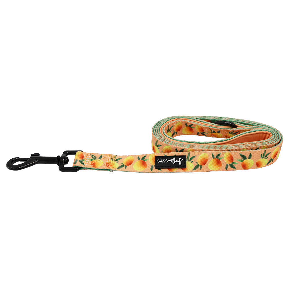 Dog Leash - Mango Tango