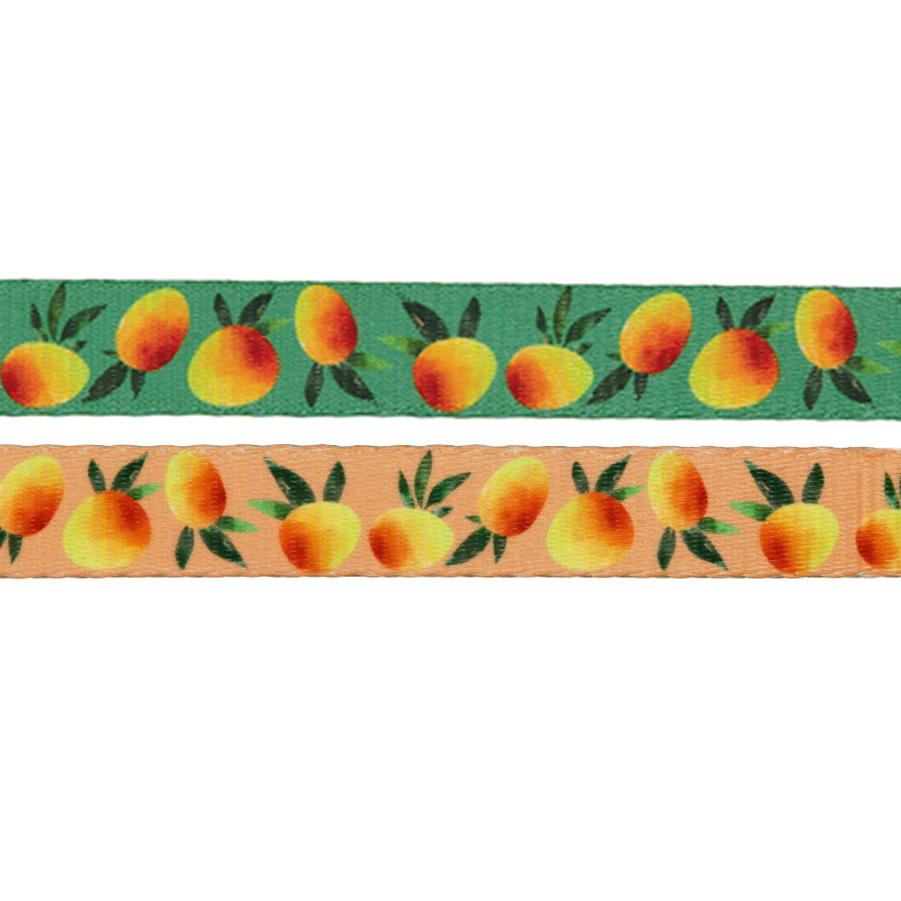 Dog Leash - Mango Tango