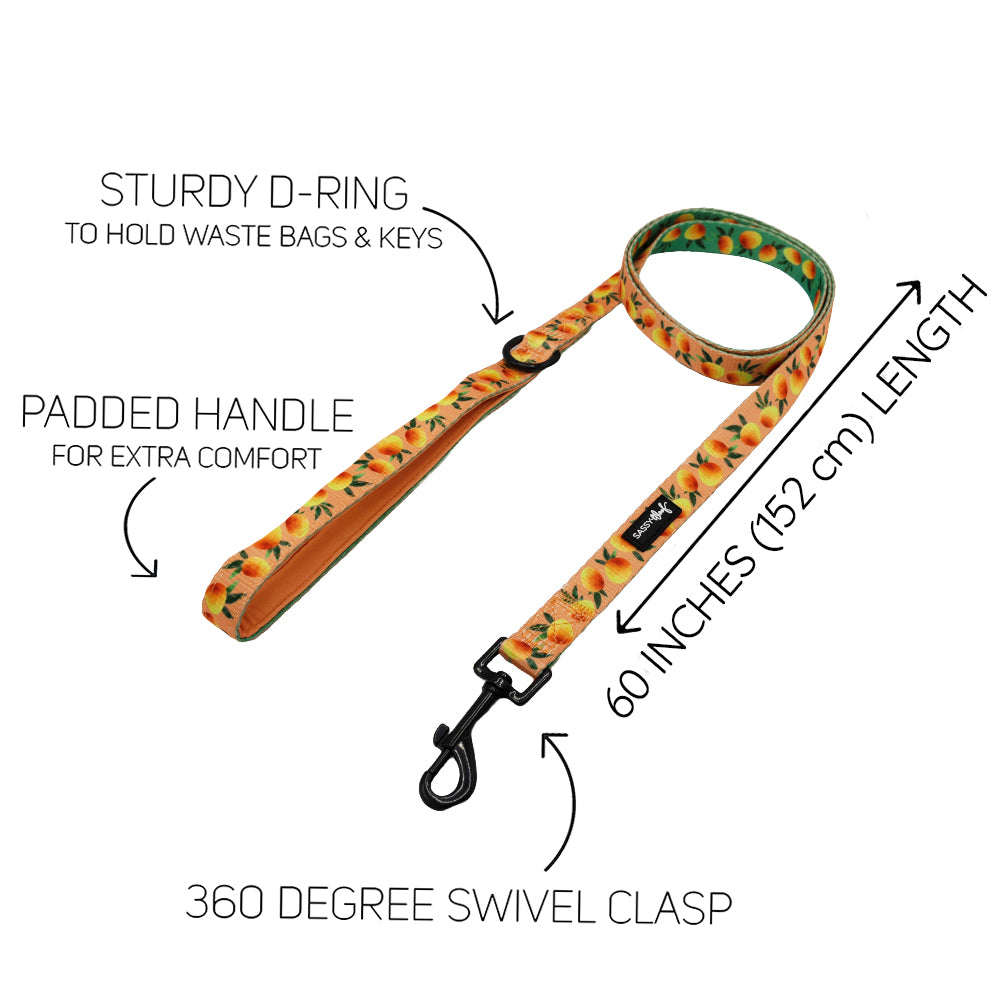 Dog Leash - Mango Tango