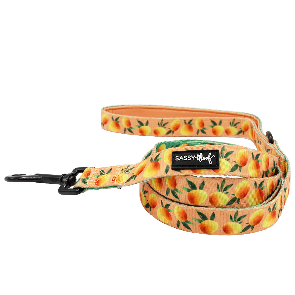 Dog Leash - Mango Tango