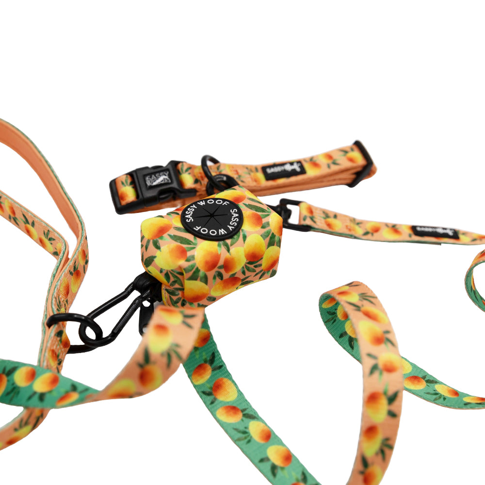 Collar Three Piece Bundle - Mango Tango