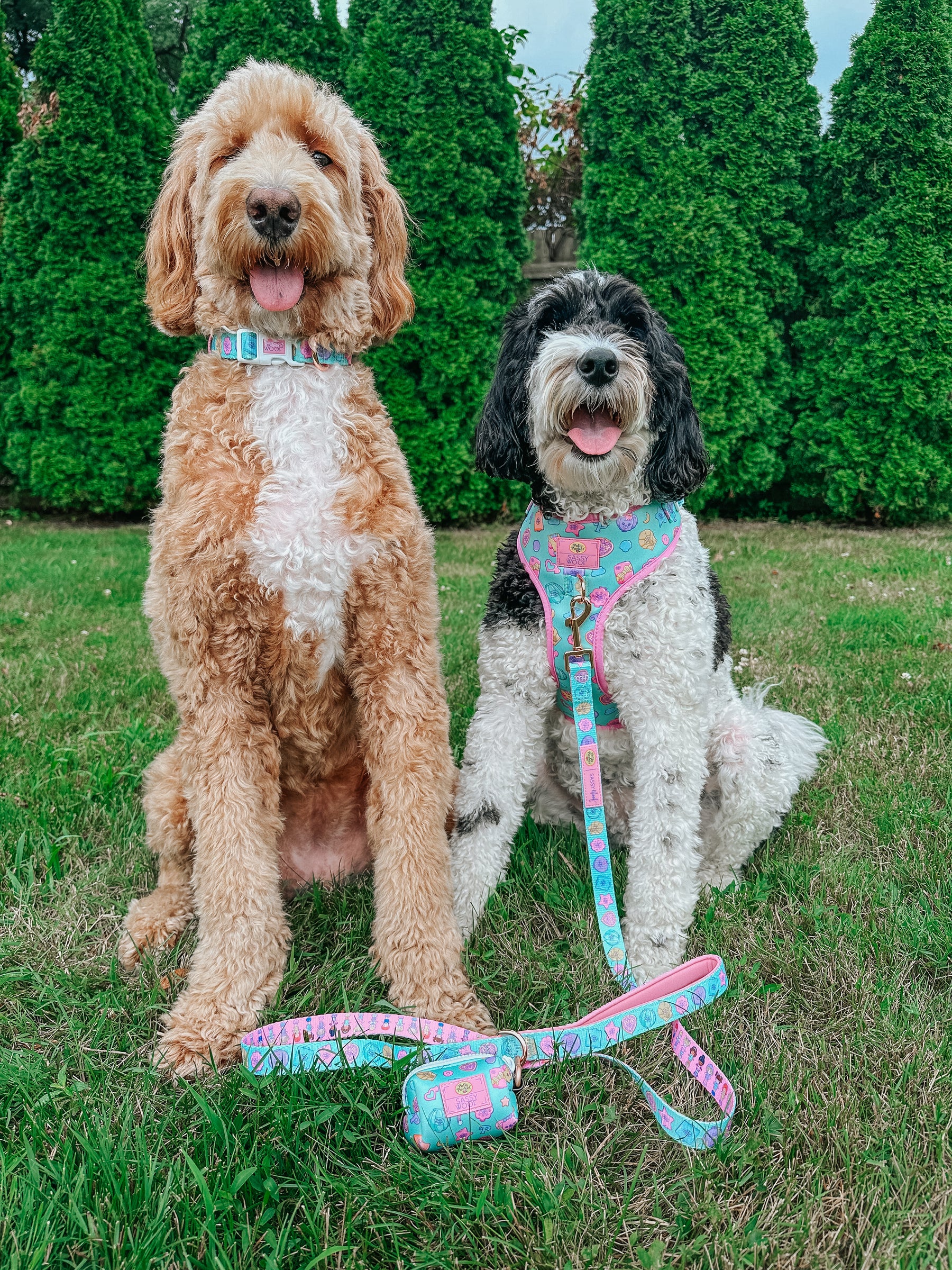 INFLUENCER_CONTENT | @MATILDAROSEGOLDENDOODLE | SIZE L & L