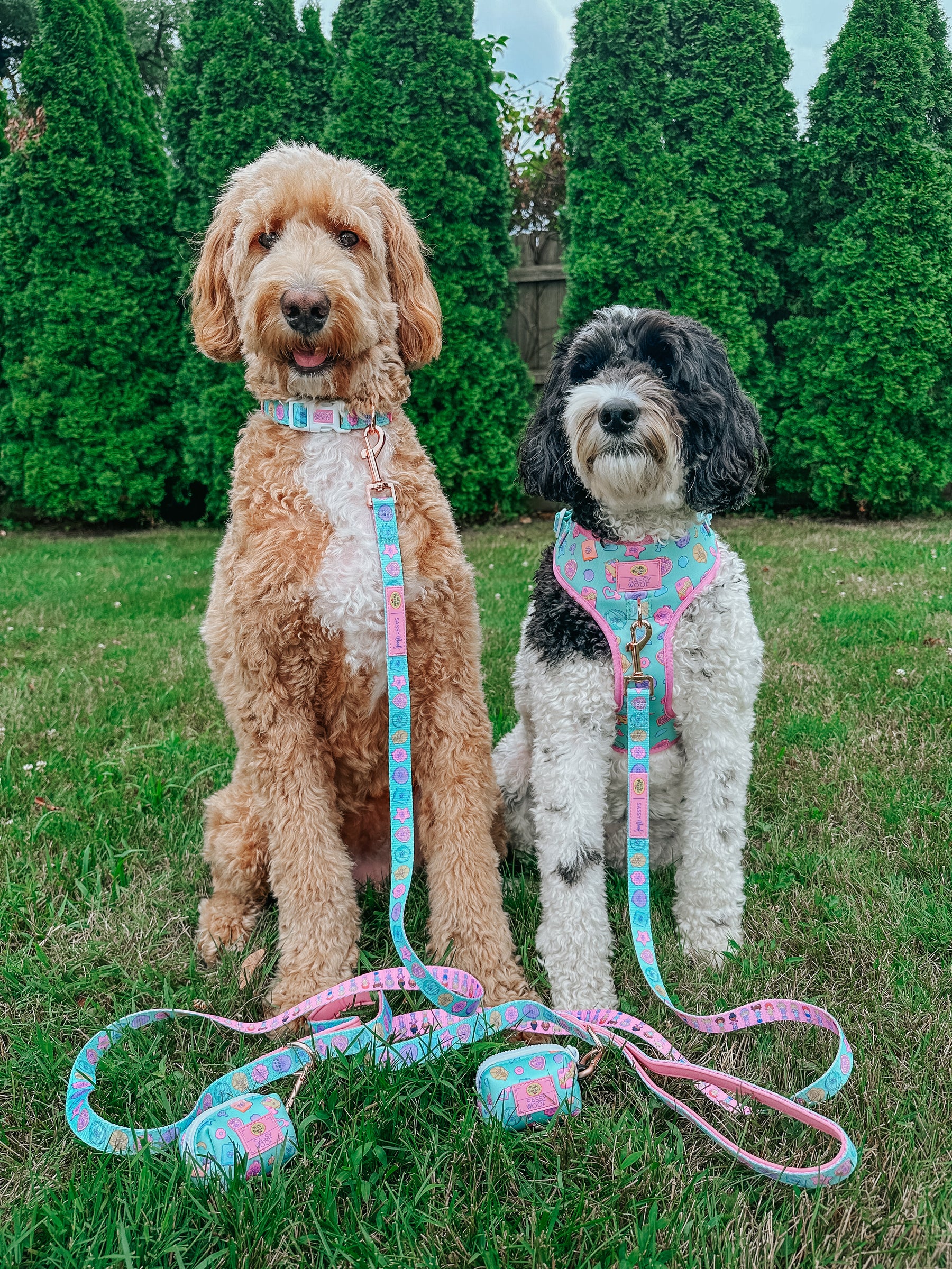 INFLUENCER_CONTENT | @MATILDAROSEGOLDENDOODLE