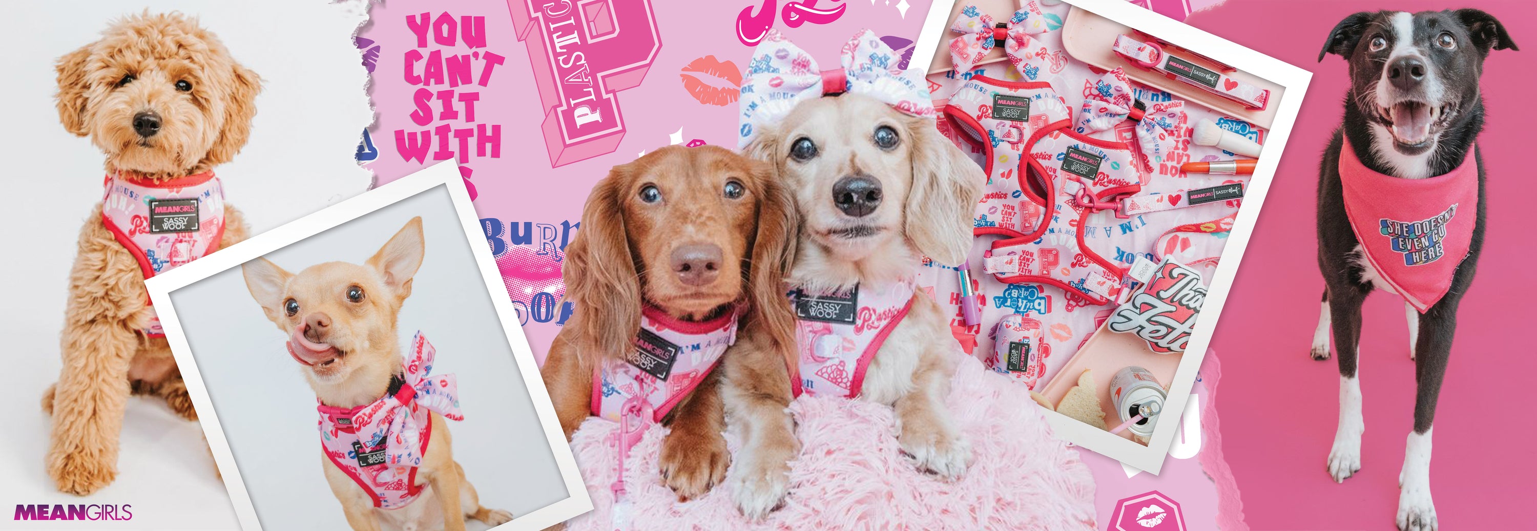 Four dogs wear pink “Mean Girls” themed bandanas and accessories, posing in front of a collage background with quotes and cosmetics. The scene is fun, playful, and stylish, evoking the film’s iconic imagery.