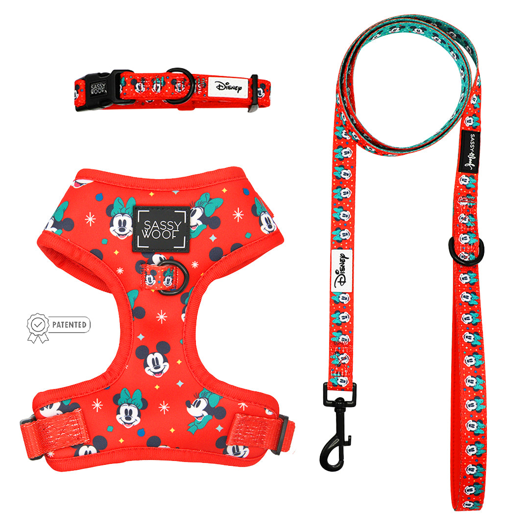 Mickey Mouse & Minnie Mouse Holiday Collection - Dog Bundle
