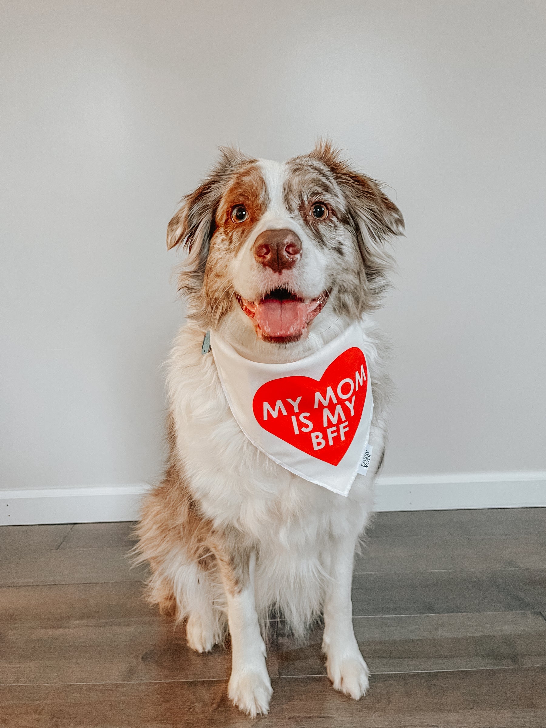 INFLUENCER_CONTENT | @MILATHEAUSSIEDOG | SIZE L