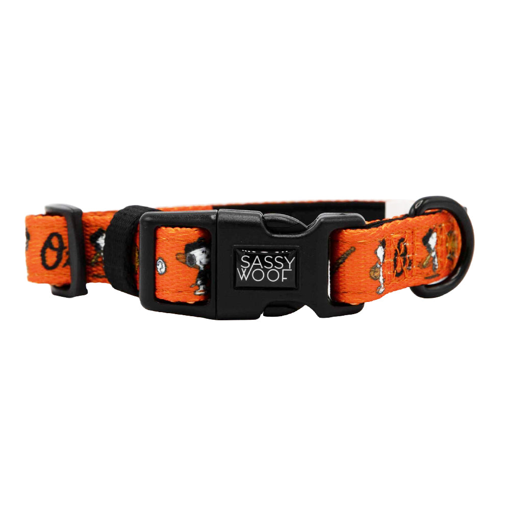 Dog Collar - MLB x Peanuts™ Baltimore Orioles