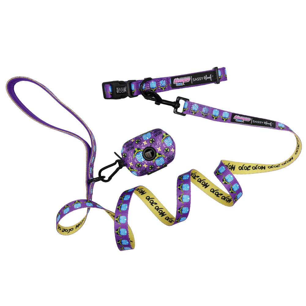 Collar Three Piece Bundle - Mojo Jojo™