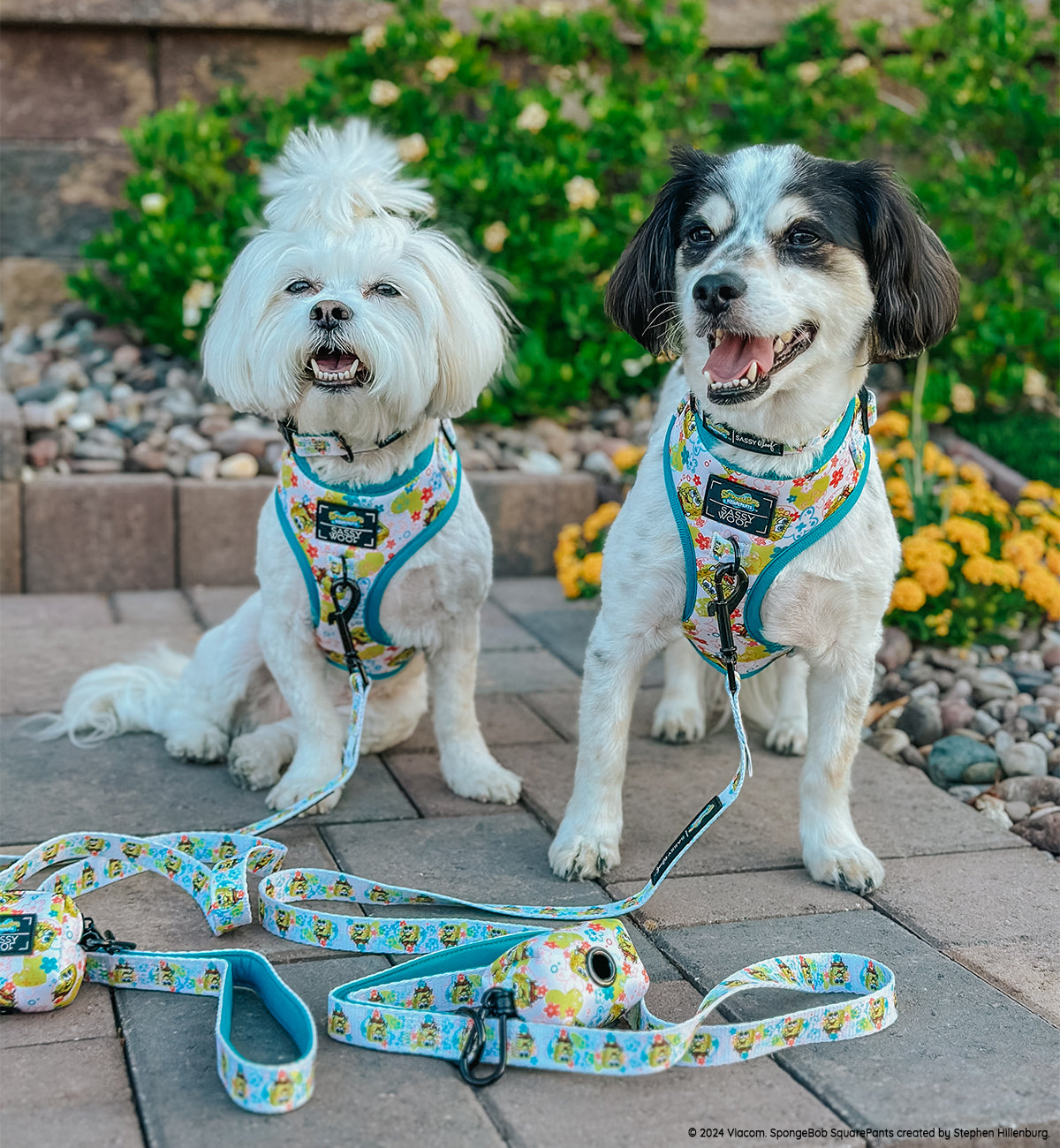 INFLUENCER_CONTENT | @MOMOSKEEDOO