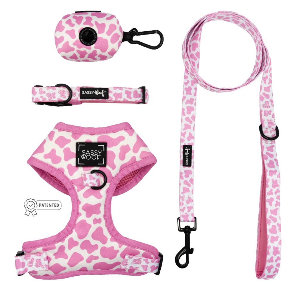 Dog Four Piece Bundle - Strawberry Milk
