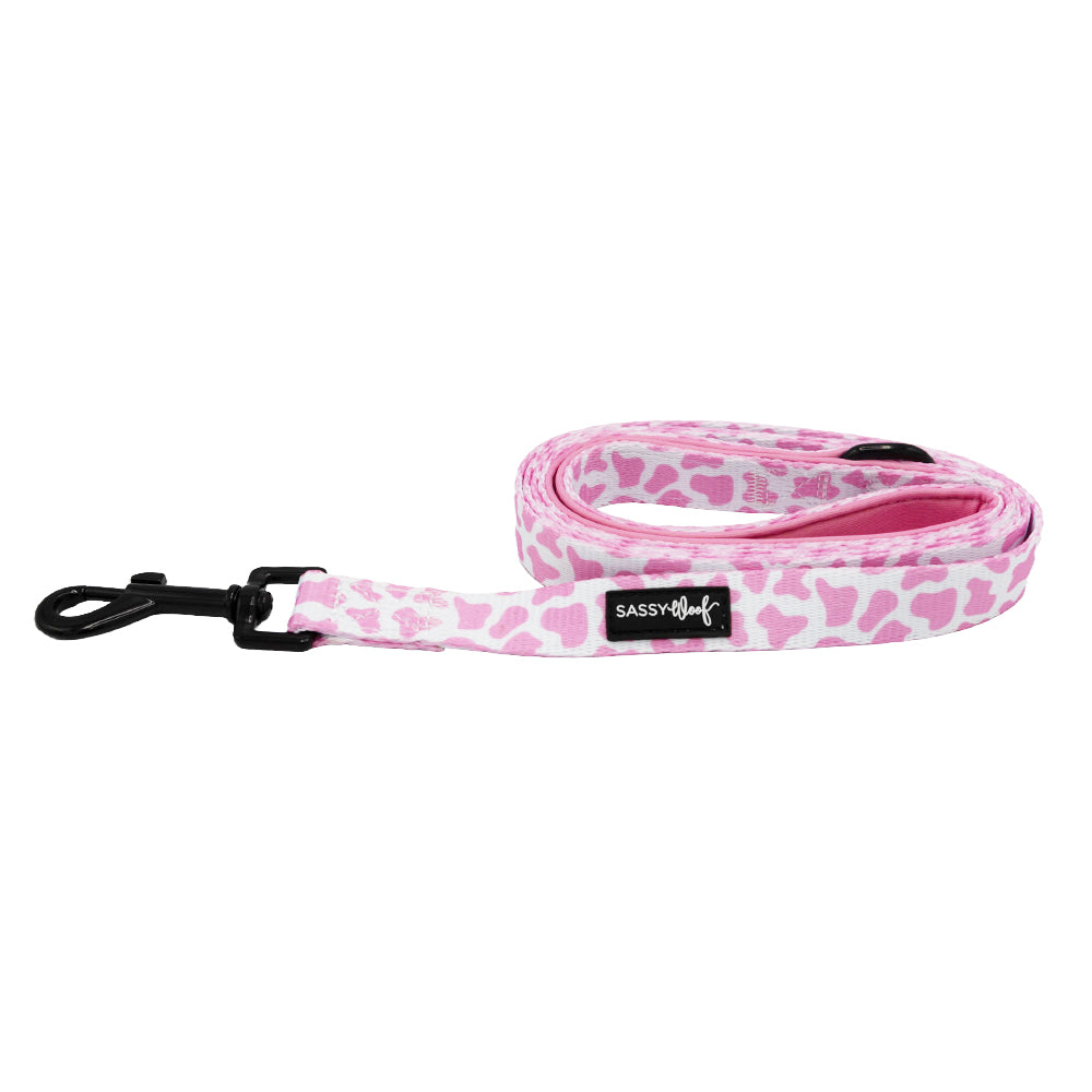 Dog Leash - Strawberry Milk